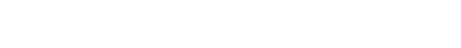 SI STORE ONLINE